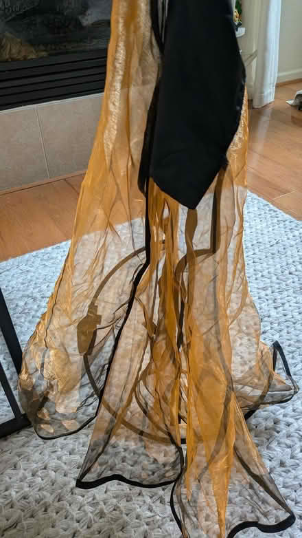 Photo of free Halloween costumes, various (Hayward Downtown) #4