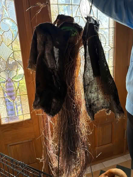 Photo of free Hanging radios with with mask (Downers Grove) #2