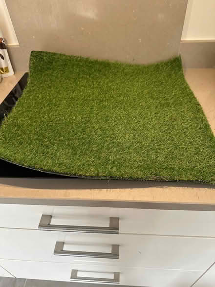 Photo of free Square of artificial grass - Tuff Tray liner (Woodford SK7) #1
