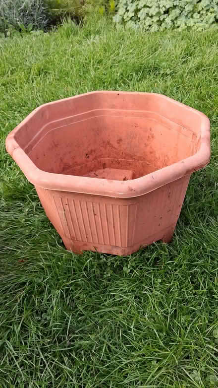 Photo of free Octagonal plastic flower pot (Stroud GL5) #1
