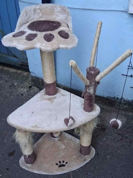 Photo of free Cat tree (Butterley DE5) #1