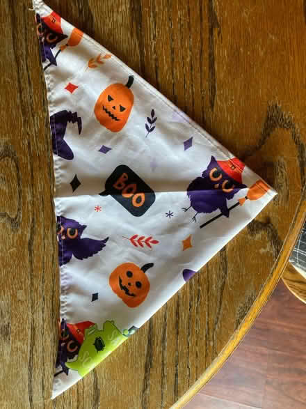 Photo of free Bra, purse and scarf (Montebello) #2