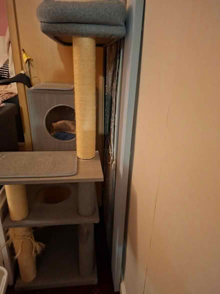 Photo of free Scratchpost (Larkhall) #3