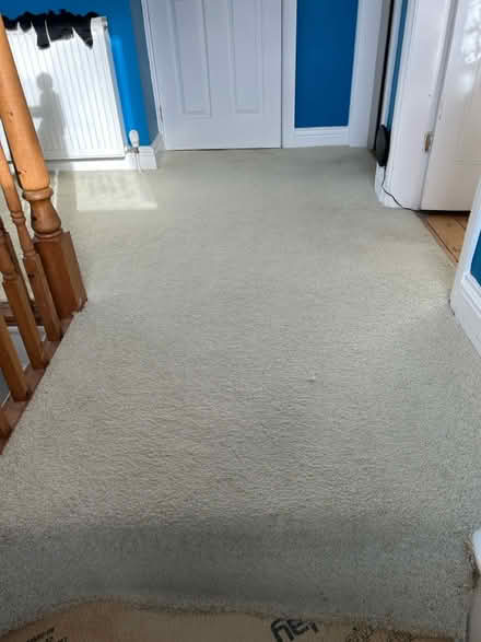 Photo of free Carpet (Shipley BD18) #4