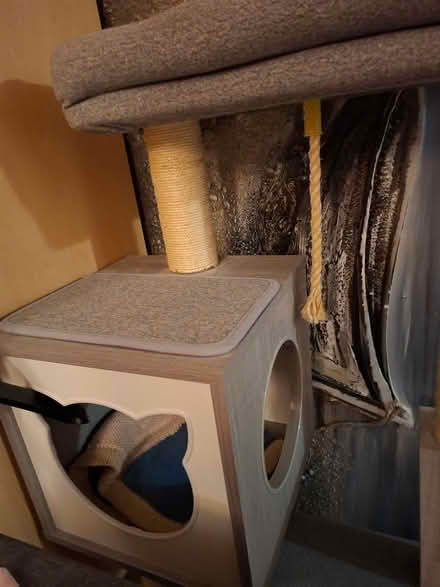 Photo of free Scratchpost (Larkhall) #2