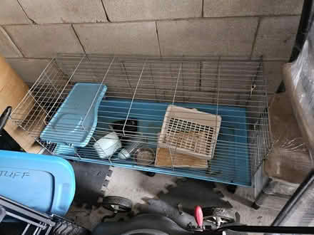 Photo of free Small animal cage (1282 consort crescent) #1