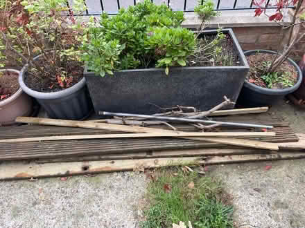 Photo of free Wood to burn (East Ham E6) #1