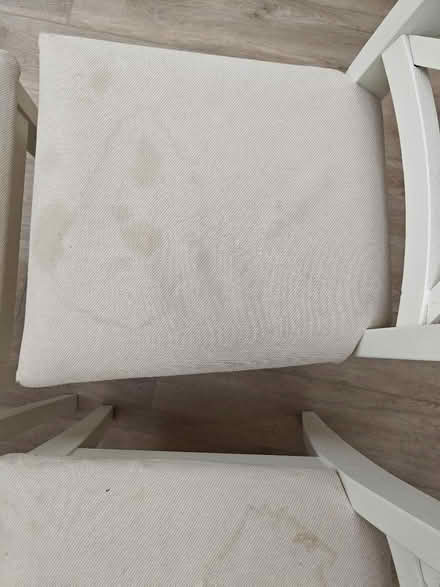Photo of free 4 IKEA dining chairs - white (KT1 2JG) #4