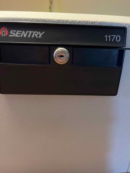 Photo of free Sentry Safety Box (Niles) #2