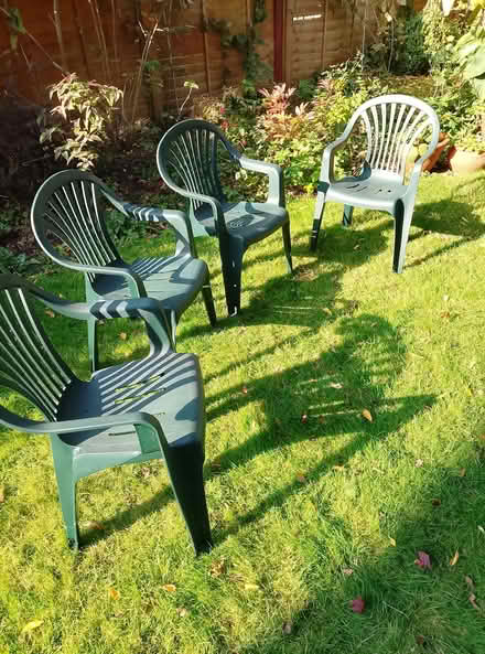 Photo of free Garden chairs (Brondesbury NW2) #1