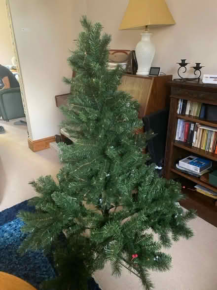 Photo of free Plastic Xmas tree (Peterborough Broadway) #1