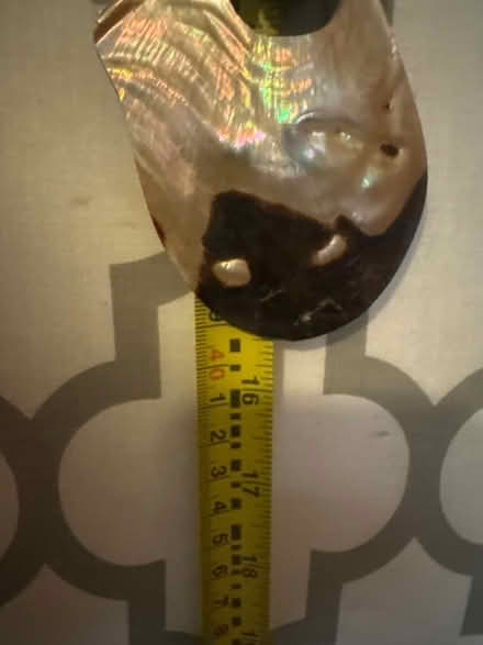 Photo of free Bead and shell necklace (Stuyvesant Heights) #2