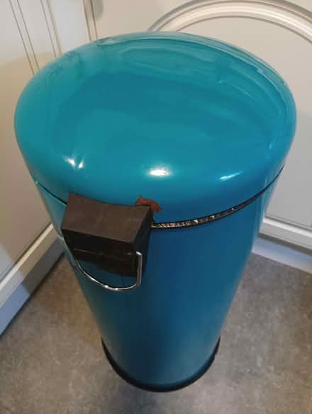 Photo of free Teal coloured bin (South reading RG2) #2