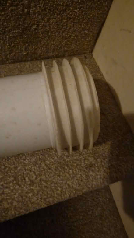 Photo of free Low level pan collector for toilet (Kirk Hallam DE7) #4