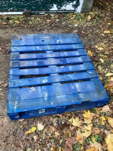 Photo of free Pallet (Panshanger AL7) #1