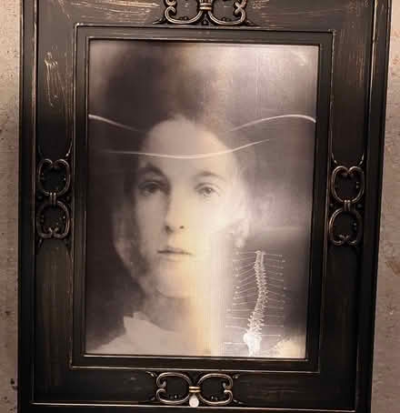 Photo of free Halloween Decorations (Burlington) #4