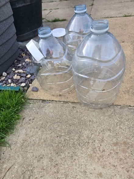 Photo of free Homemade Seedling Protectors (CT21) #1