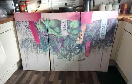 Photo of free 3 large canvases (Horton bank top BD7) #3