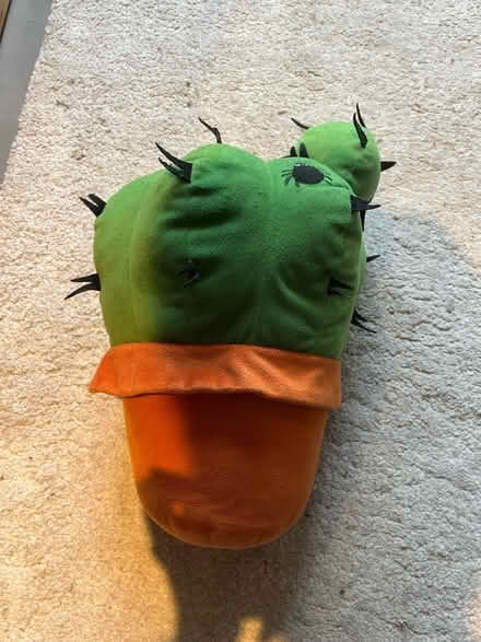 Photo of free Cactus cushion (Barnsbury N1) #1