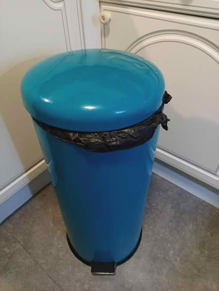 Photo of free Teal coloured bin (South reading RG2) #1