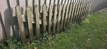 Photo of free Picket gate/fence (Llandrindod wells LD1) #2