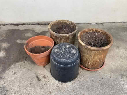 Photo of free 4 plant pots (bet Hodencamp & Hillcrest) #1