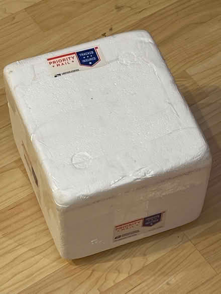 Photo of free Styrofoam Shipping Box (Wolfe & Reed) #1