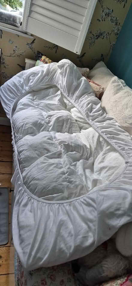 Photo of free Single mattress topper (St Helier SM4) #1