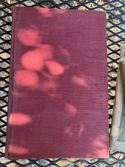 Photo of free 2 books on womanhood (south sunnyvale) #4