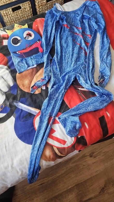 Photo of free Costume age 8-10 (dellfield AL1) #1