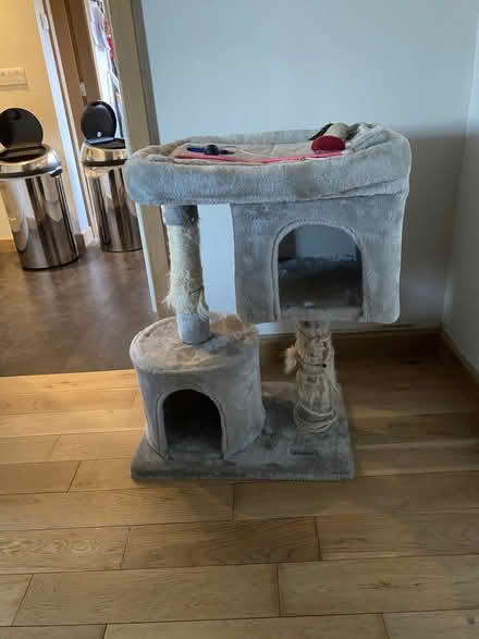 Photo of free Cat palace (Liberton EH16) #1