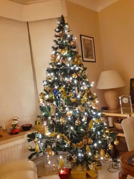 Photo of free Christmas Tree (Tenterden TN30) #1