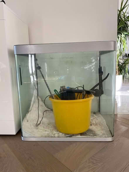 Photo of free Fish Tank (Hinchley Wood KT10) #1