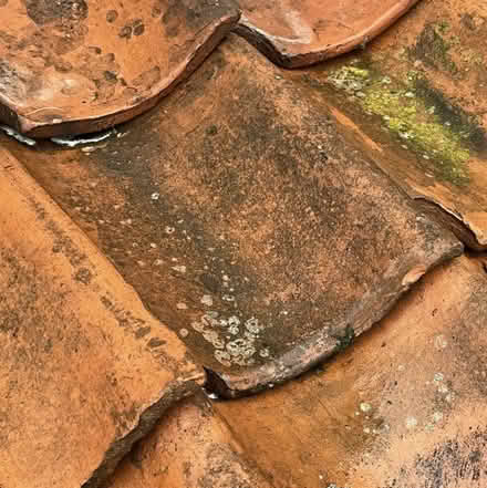 Photo of broken old red roof tiles / flower pots (Priston CP) #2