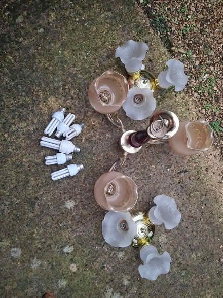 Photo of free Ceiling Lights (Cheltenham, Springbank) #1