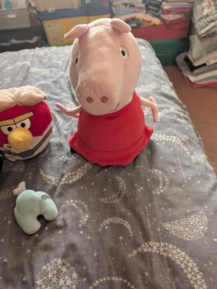 Photo of free Teddies (Woodley RG5) #2