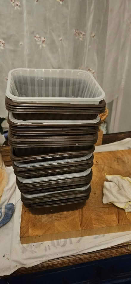 Photo of free Plastic punnets (IM8) #1