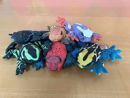 Photo of free Small toy cloth frogs (Walden - North Porter Square) #1