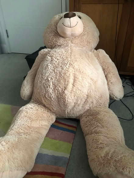 Photo of free Extra large soft teddy (Worcester park) #1