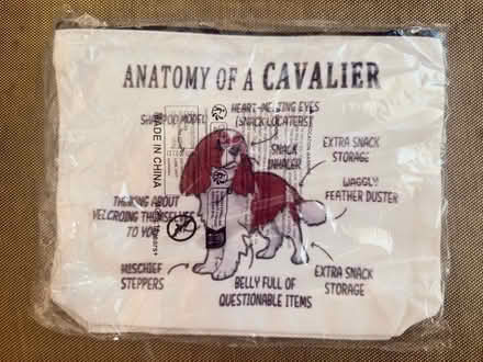 Photo of free Cavalier King Charles Spaniel Bag (Bassingbourn, SG8) #1