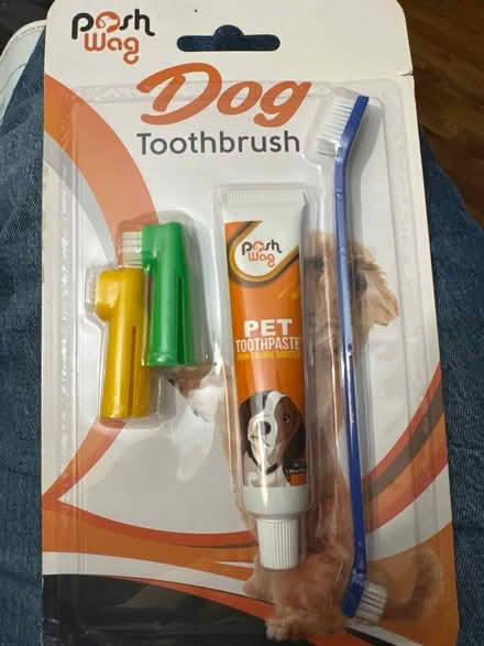 Photo of free Dog Toothbrush & Toothpaste Set (Clason Point Bronx NY) #1