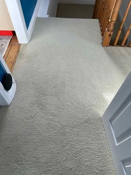 Photo of free Carpet (Shipley BD18) #1