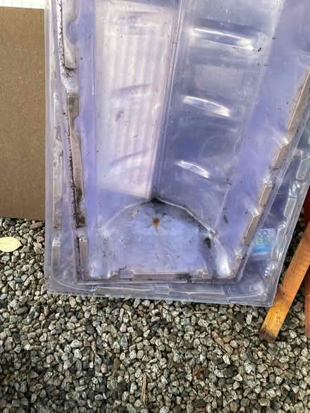 Photo of free Garden Cloches (Dousland) #2