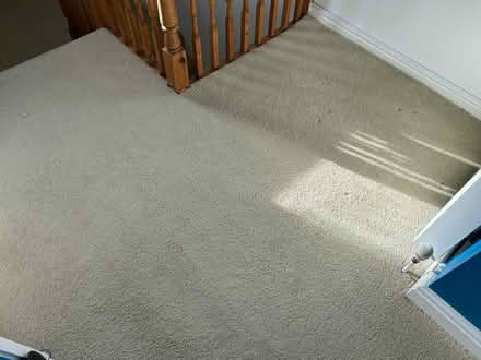 Photo of free Carpet (Shipley BD18) #2