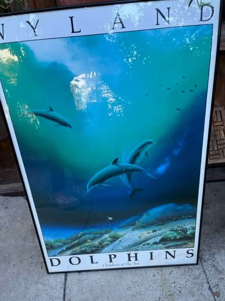 Photo of free Poster Frame (West Berkeley) #1