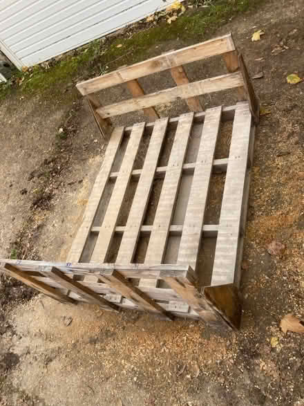 Photo of free Pallet no.2 (Panshanger AL7) #1