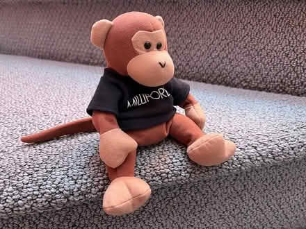 Photo of free Small bean bag monkey toy (Walden - North Porter Square) #1
