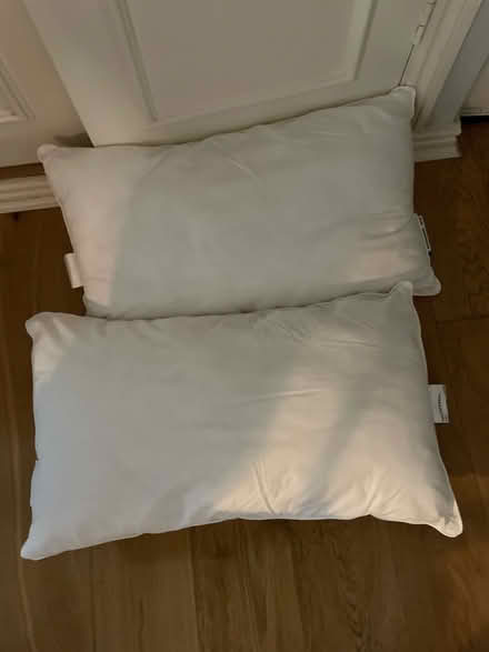 Photo of free 2 pillows (Stockwell) #1