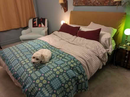 Photo of free King size bed IKEA (Headingley LS6) #1