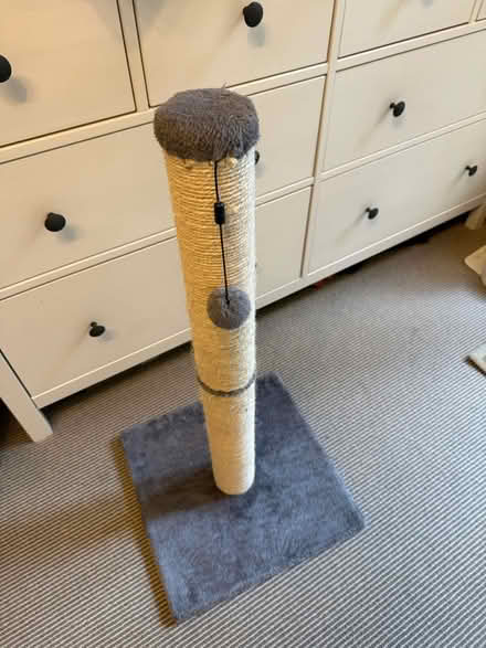Photo of free Cat Scratching Post (Islington/Canonbury - N1) #1